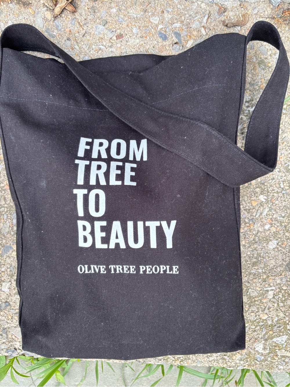 Olive Tree People - From Tree To Beauty